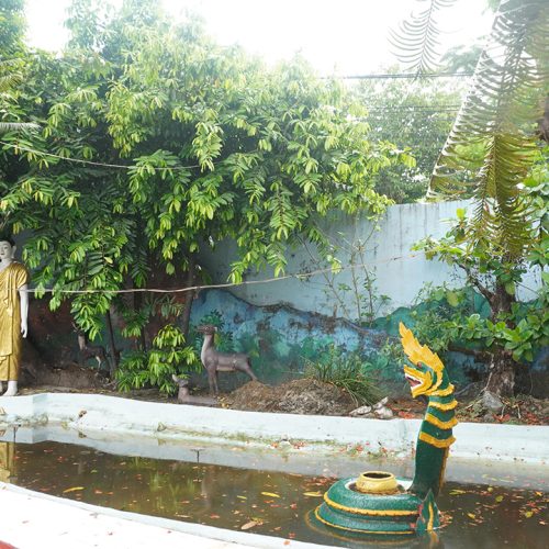 DSC06352