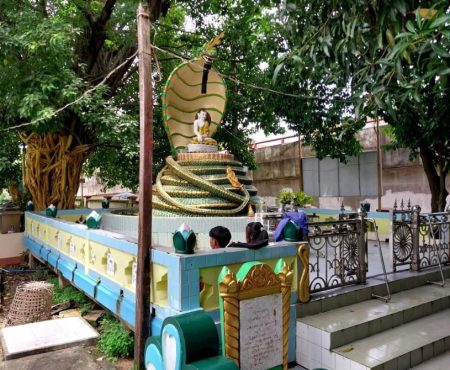 ဖူး-