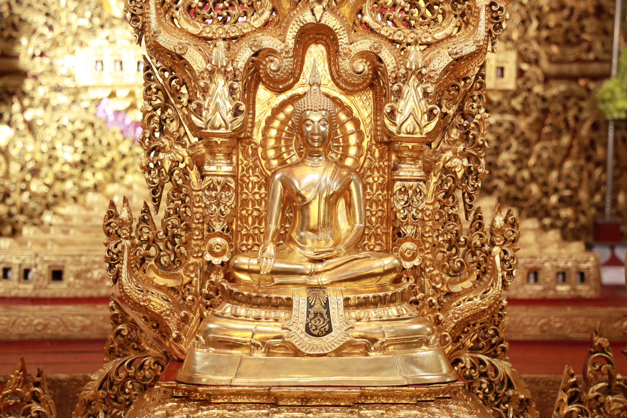 B20A0168-scaled-1-1.jpg